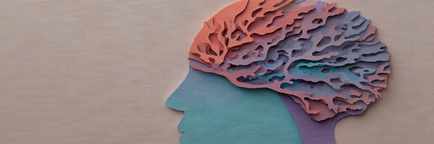 Insight - Karimi Op Ed 1